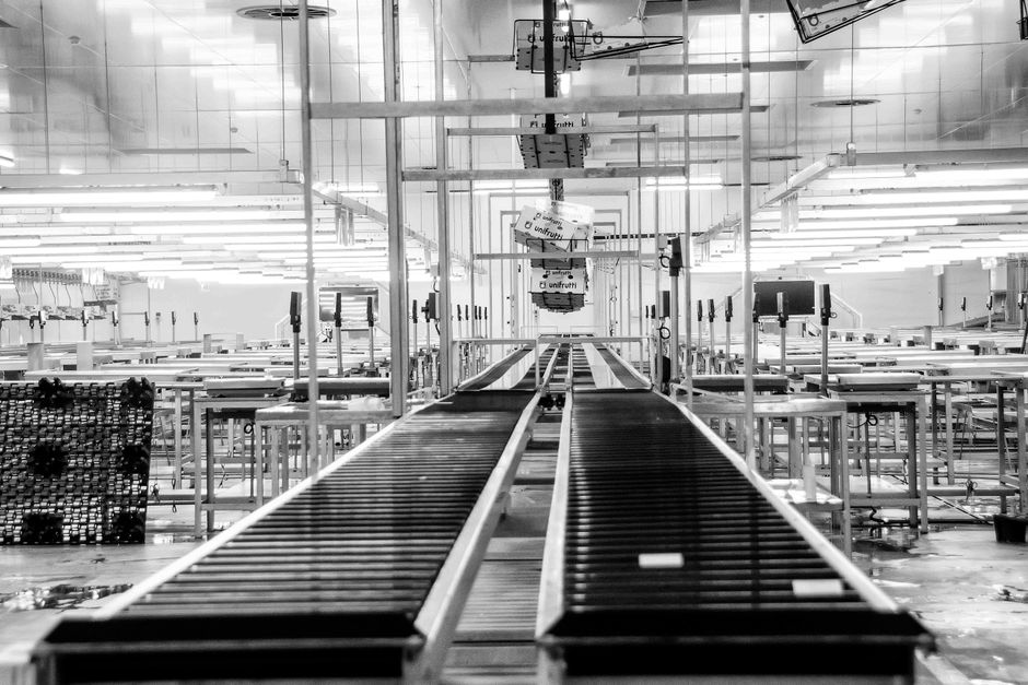 Modern conveyor system in an industrial factory setting