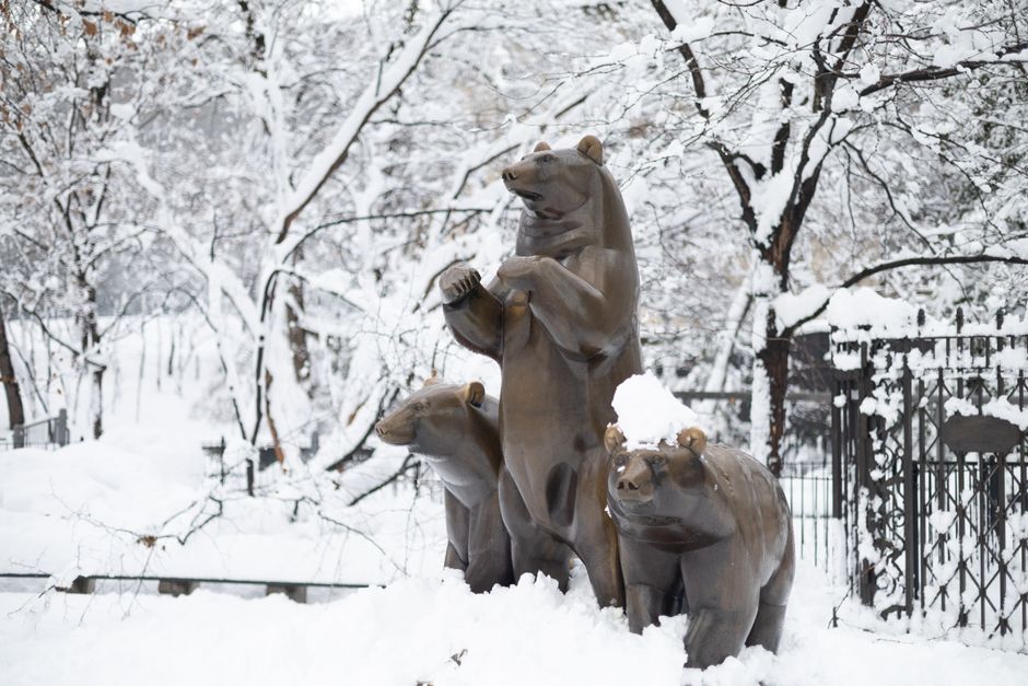 Bronze bear statue in a park setting, symbolizing the semiconductor index entering a formal bear market.