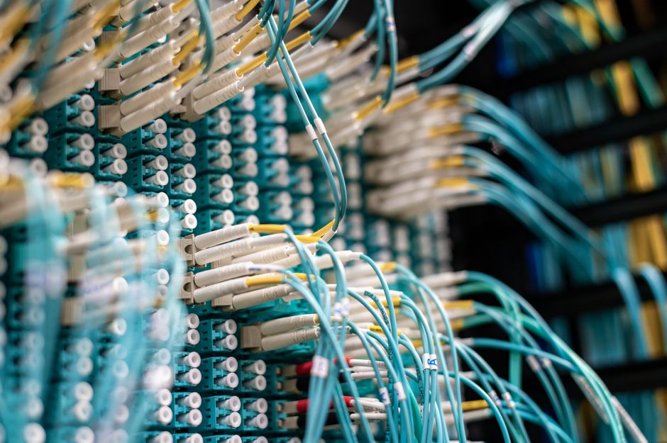 Blue network patch cables plugged into a data center patch panel
