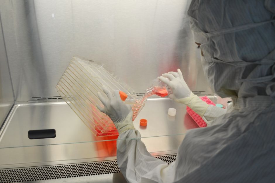 Scribe Therapeutics raised $128.7 million in a rare gene-editing IPO